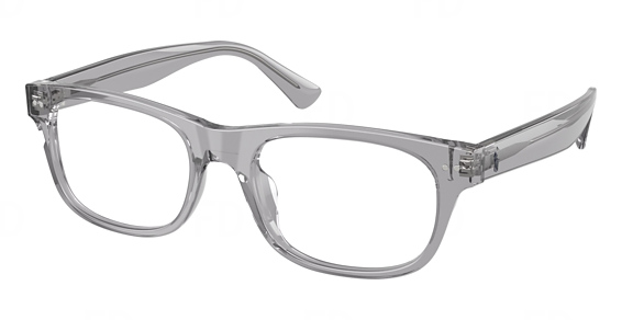 Shiny Transparent Grey