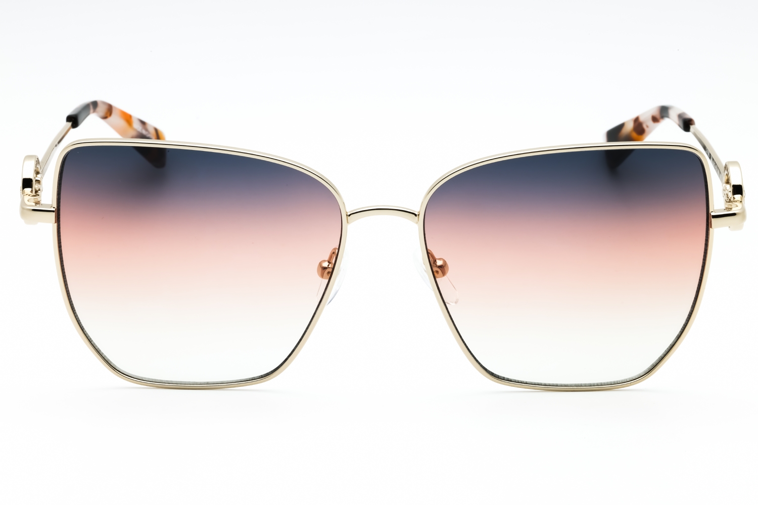 Postalcontacts.com -- Longchamp LO169S