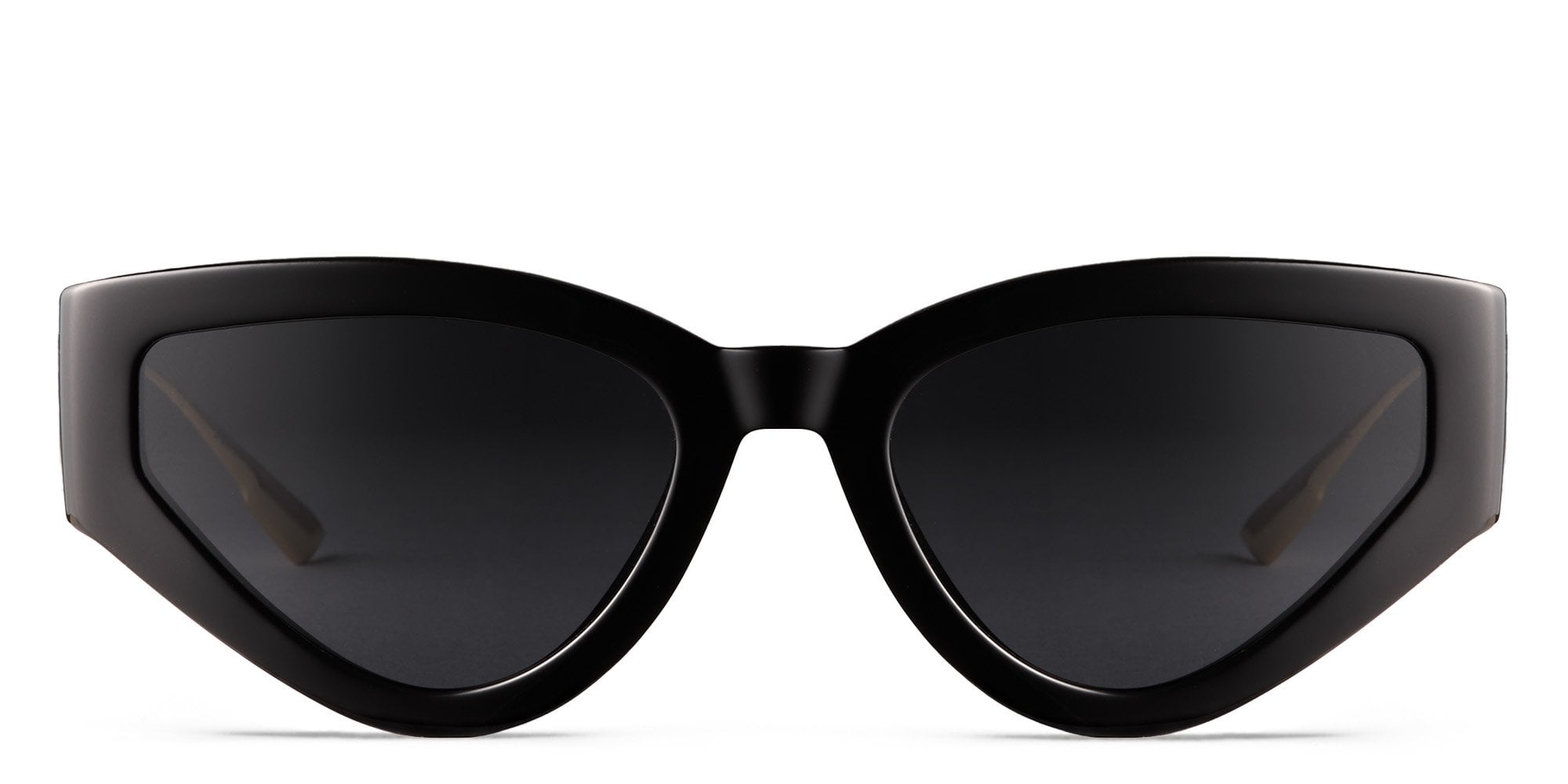 Postalcontacts.com -- Dior CatStyleDior1