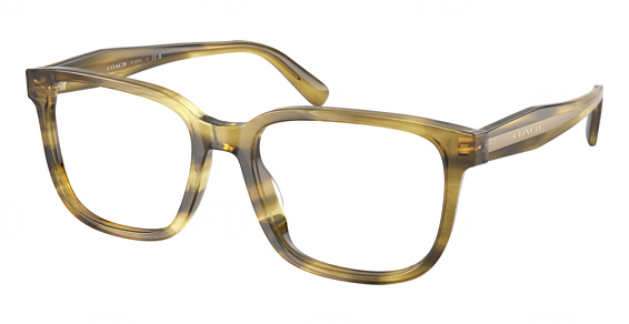 Striated Olive