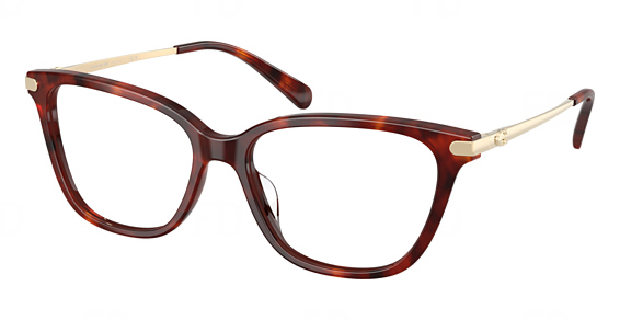 Walnut Tortoise