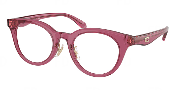 Transparent Burgundy