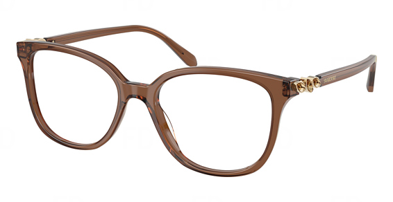 Transparent Brown