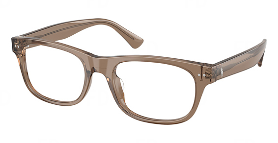 Shiny Transparent Brown