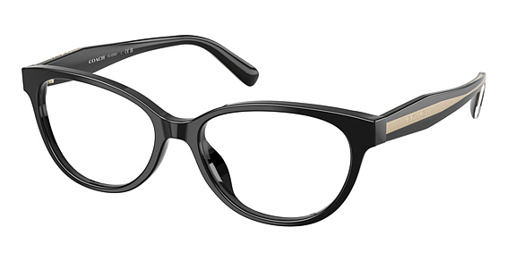 COACH HC6293U - Black, Plastic, Oval frame