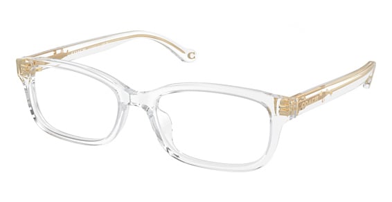 COACH HC6233U - Transparent Clear, Plastic, Oval frame