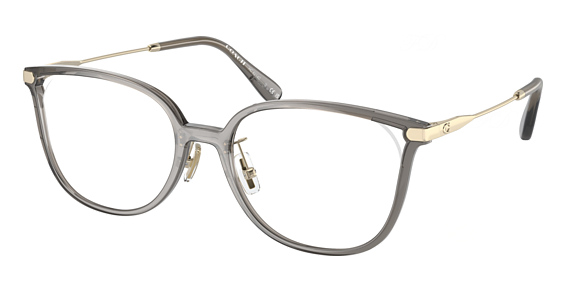 COACH HC6214D - Transparent Grey, Acetate, Oval frame
