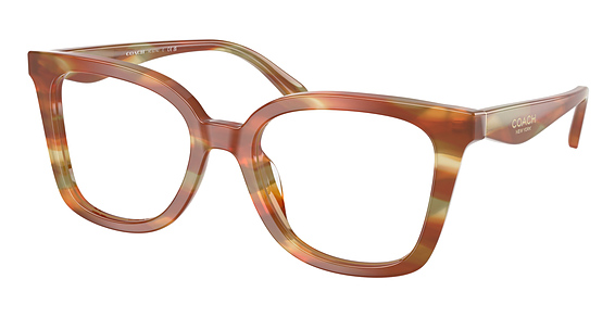 COACH HC6274U - Striated Bark, Plastic, Cat Eye frame
