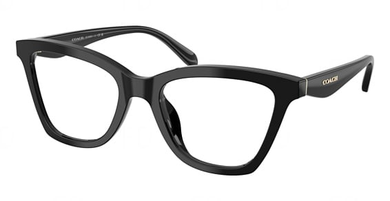 COACH HC6306U - Black, Plastic, Mixed Shapes frame