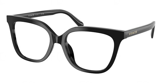 COACH HC6302U - Black, Plastic, Mixed Shapes frame