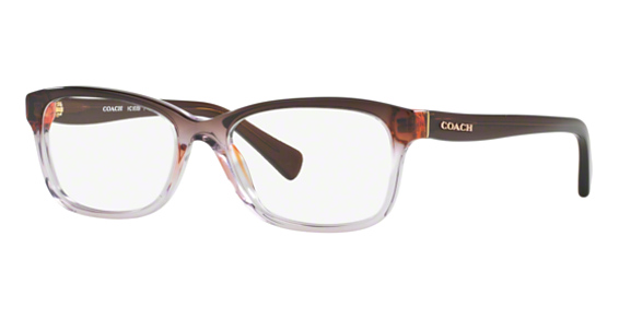 COACH HC6089 - Transparent Purple Gradi, Plastic, Oval frame