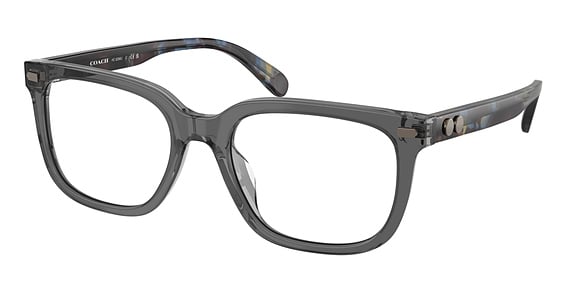 COACH HC6266U - Transparent Grey, Plastic, Oval frame