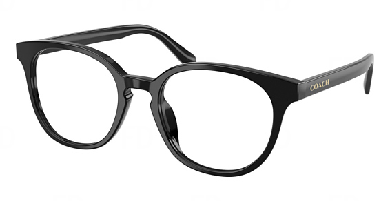 COACH HC6301F - Black, Plastic, Mixed Shapes frame