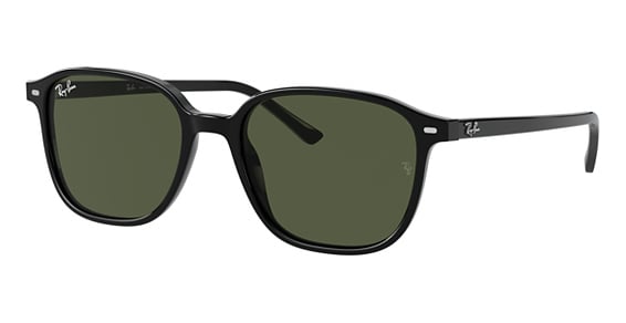 Ray-Ban RB2193 LEONARD - Black, Plastic, Oval frame