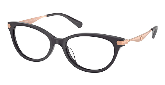 COACH HC6245F - Transparent Dark Grey, Plastic, Oval frame