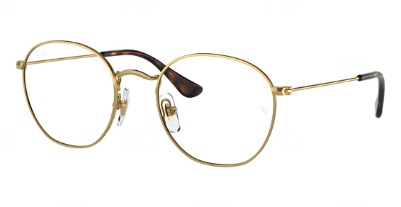 Ray-Ban RY9572V JUNIOR ROB - Arista, Metal, Oval frame