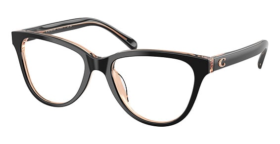 COACH HC6202U - Black, Plastic, Oval frame