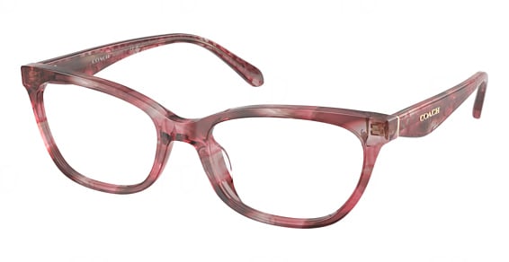 COACH HC6307U - Rose Watercolor, Plastic, Mixed Shapes frame