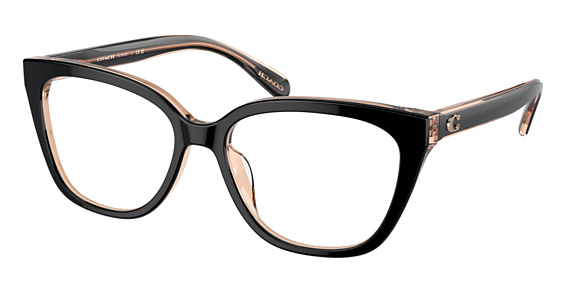 COACH HC6226U - Black, Plastic, Oval frame