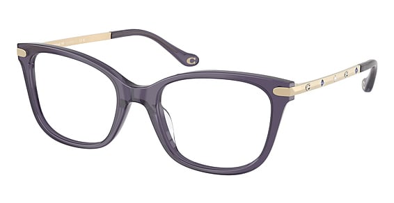 COACH HC6261BU - Milky Eggplant, Plastic, Cat Eye frame