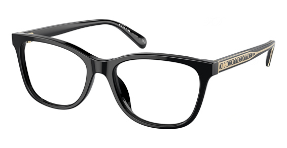 COACH HC6235F - Black, Plastic, Oval frame