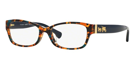 COACH HC6078 - Teal Confetti Tortoise, Plastic, Oval frame