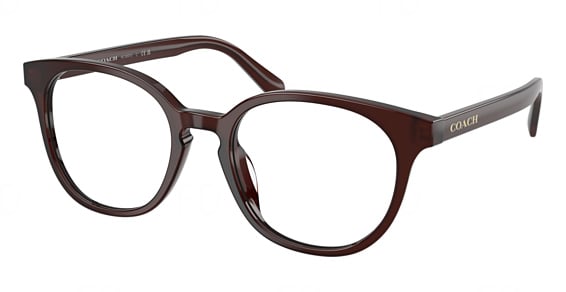 COACH HC6301U - Milky Pecan, Plastic, Mixed Shapes frame