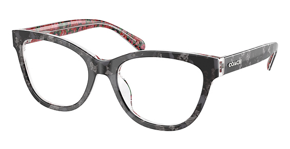 COACH HC6249U - Black Tortoise, Plastic, Oval frame